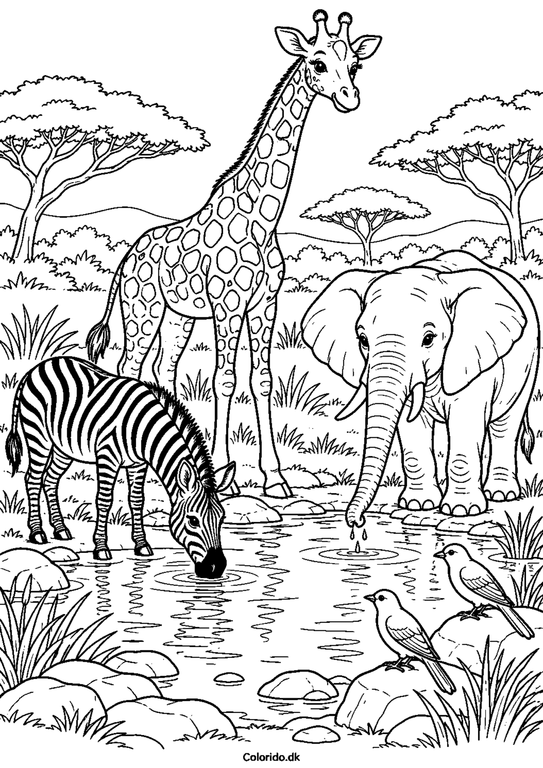 Giraf med zebra og elefant – savannetegning