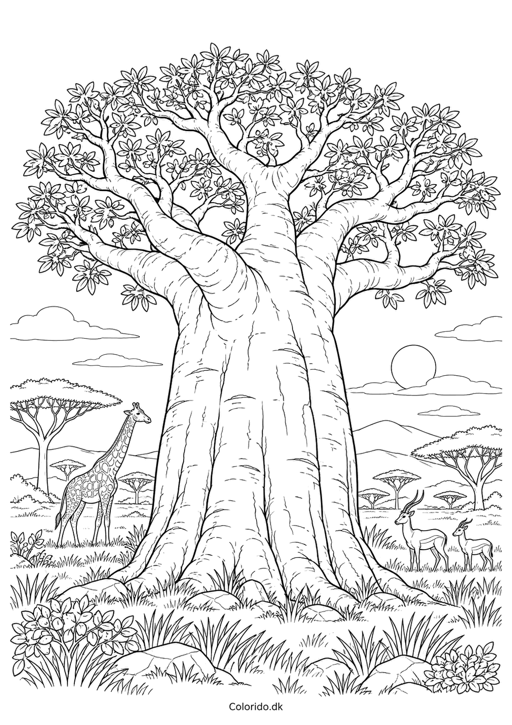 Stor baobab på savannen – tegning til print