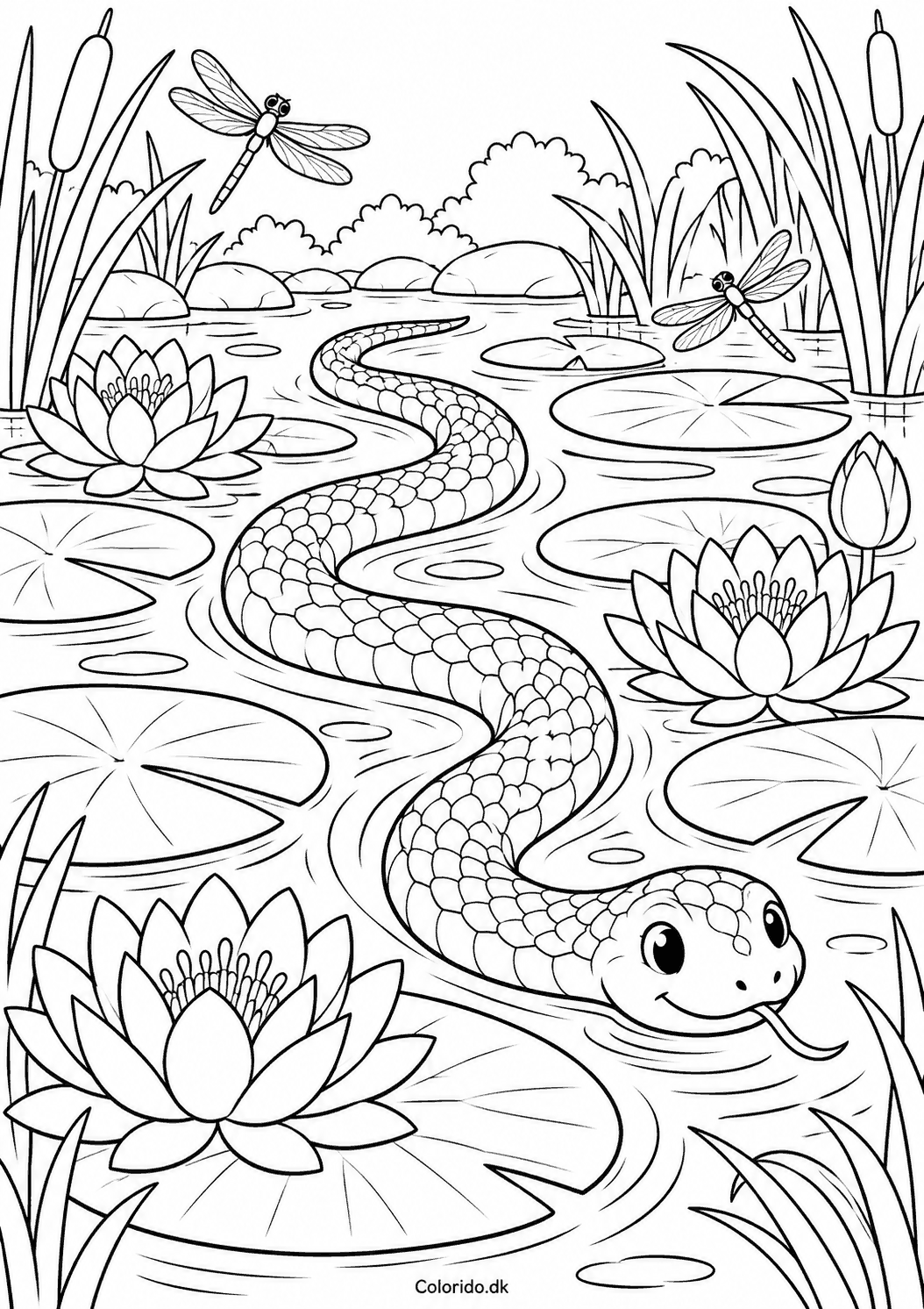 Slange mellem åkander – gratis naturtegning